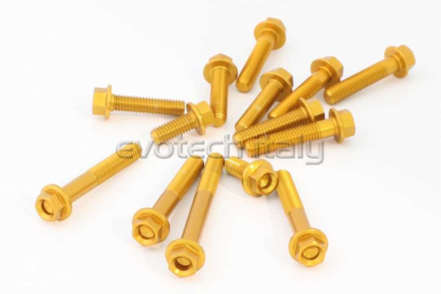 Kit viti motore Ducati Monster 821