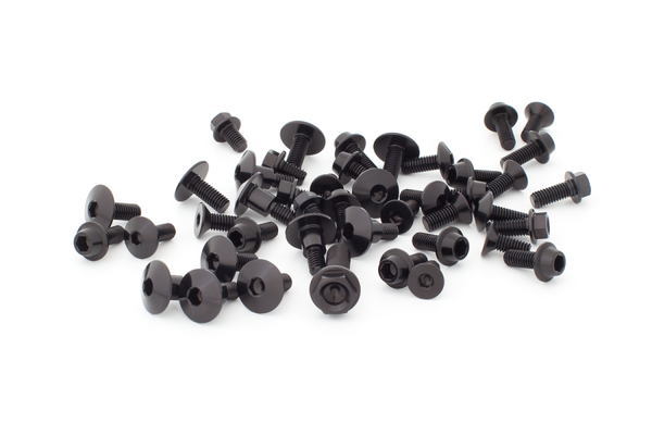 representative photo ergal screws kit