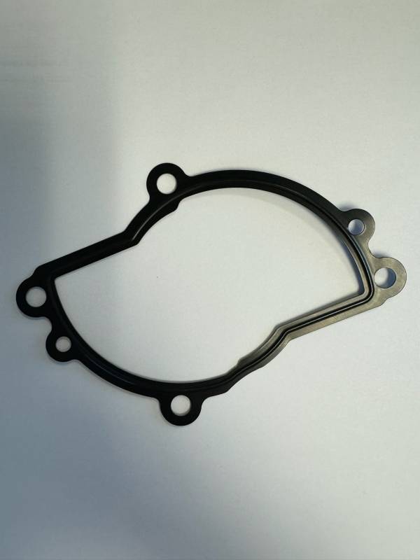 SpeedyMoto Water Pump Housing Gasket