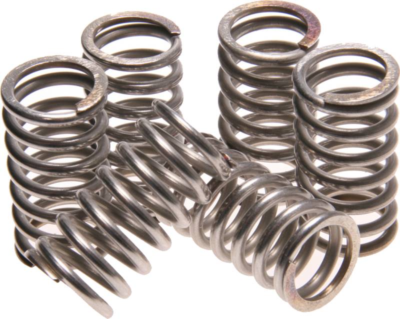 SpeedyMoto Polished Clutch Springs [Qty 6 Springs]
