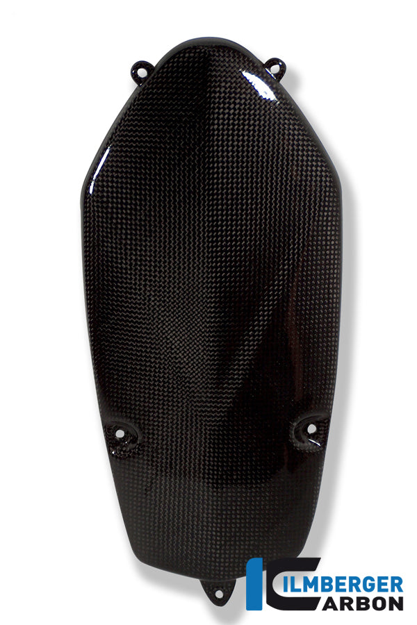 Ilmberger Carbon Alternator Cover for BMW R 1200 GS