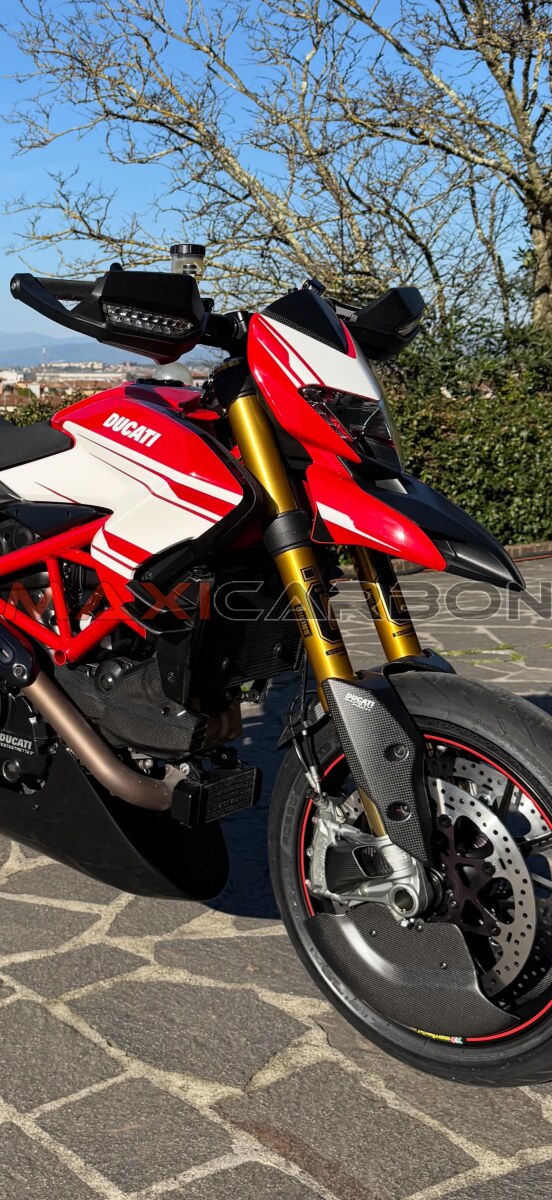 Maxicarbon Ducati-Hypermotard-939-SP-Maxicarbon-Francesco-1
