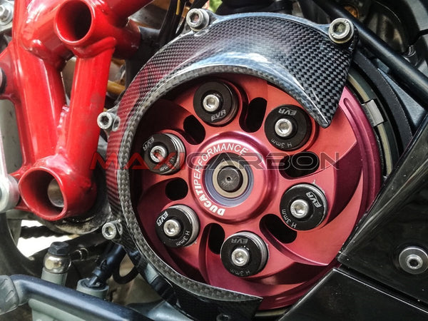 Maxicarbon Ducati-1198-S-Corse-Maxicarbon-Gabriele-3.jpeg