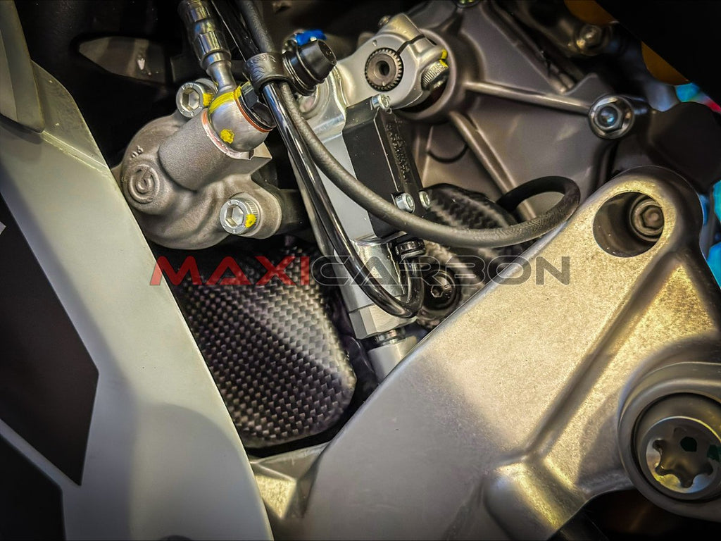 Maxicarbon Ducati-Panigale-V2-Maxicarbon-Twan-Netherlands-5