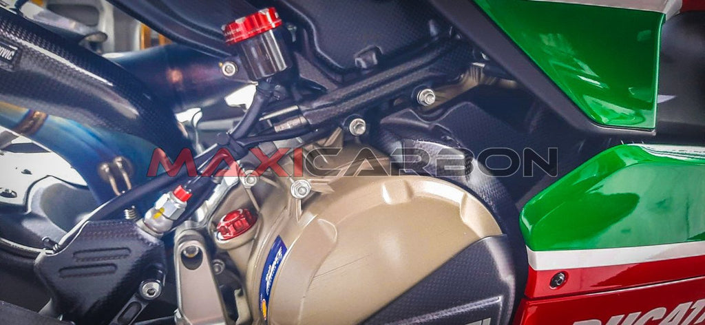 Maxicarbon Ducati-Panigale-V2-Bayliss-Maxicarbon-Maurizio-11