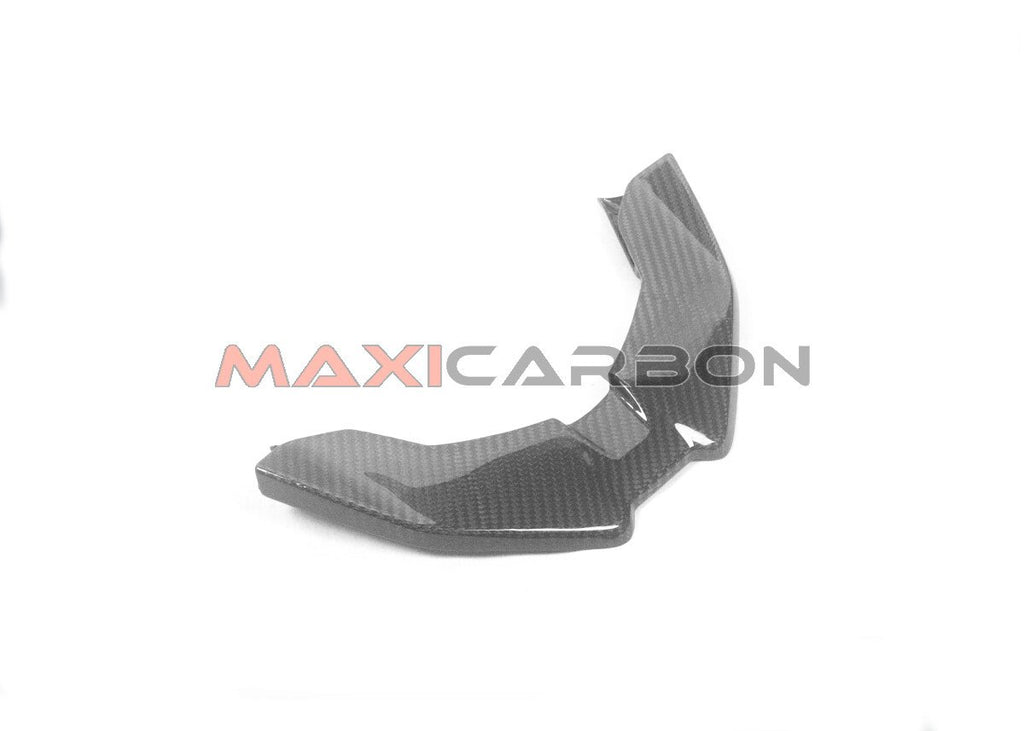 Maxicarbon BMK088T-Maxicarbon-carbon-frontal-panel-BMW-S-M-1000-XR-2024-1