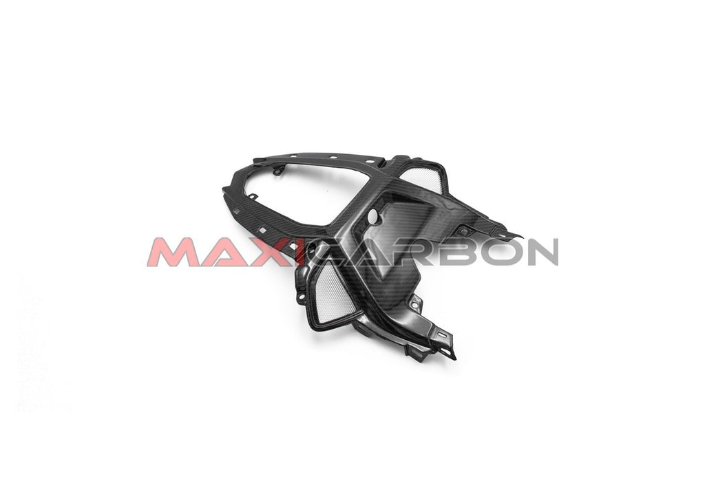 Maxicarbon BMG802T-Maxicarbon-carbon-central-tail-BMW-S1000RR-2019-1