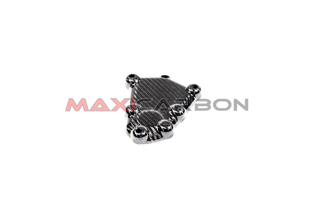 Maxicarbon BMF0028T-carbon-pick-up-cover-BMW-S1000R-S1000RR-2