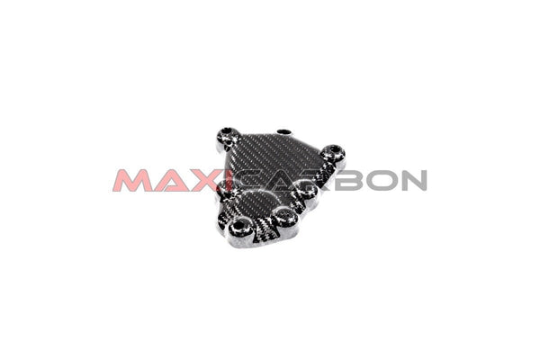 Maxicarbon BMF0028T-carbon-pick-up-cover-BMW-S1000R-S1000RR-2