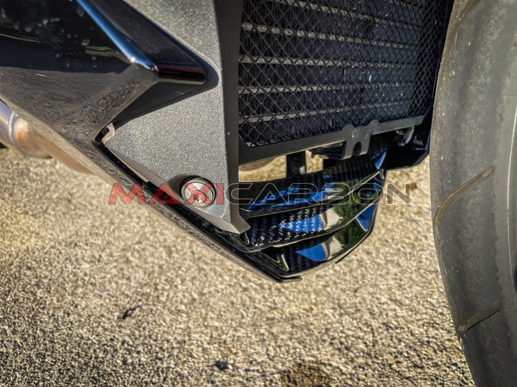 Maxicarbon BMW-S1000R-2017-Maxicarbon-Denis-1