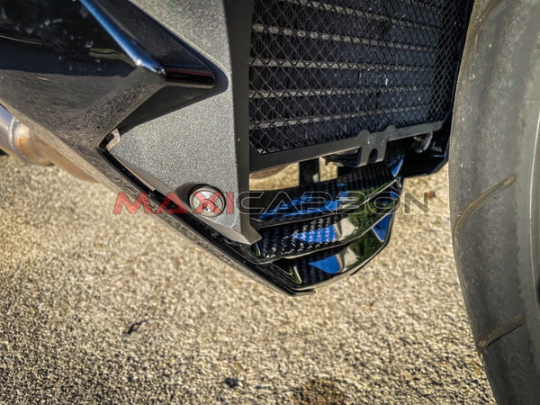 Maxicarbon BMW-S1000R-2017-Maxicarbon-Denis-1
