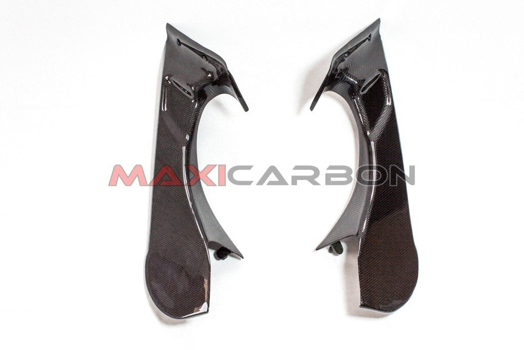 Maxicarbon IMG_2882