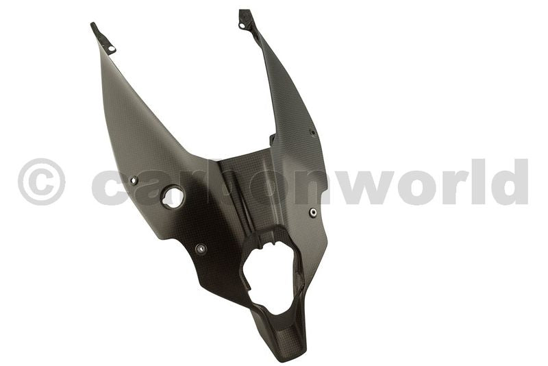 MATTE CARBON UNDERTAIL PANEL FOR DUCATI PANIGALE V4 BY CARBONWORLD