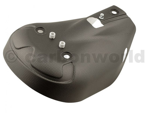 MATTE CARBON HEAT GUARD KIT FOR DUCATI PANIGALE 959 1299 S BY CARBONWORLD