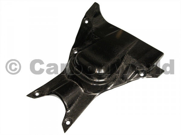 CARBON UNDERTAIL HEAT FOR DUCATI DIAVEL BY CARBONWORLD - DennisPowerSport - 1