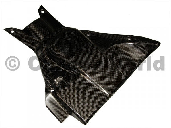 CARBON UNDERTAIL HEAT FOR DUCATI DIAVEL BY CARBONWORLD - DennisPowerSport - 3