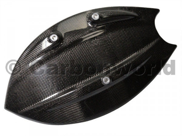 CARBON REAR WHEEL COVER FOR DUCATI DIAVEL BY CARBONWORLD - DennisPowerSport - 1