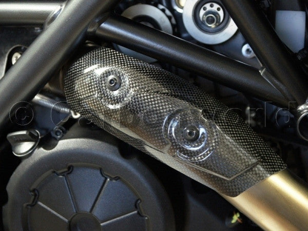 CARBON HEAT GUARD FOR DUCATI DIAVEL BY CARBONWORLD - DennisPowerSport - 2