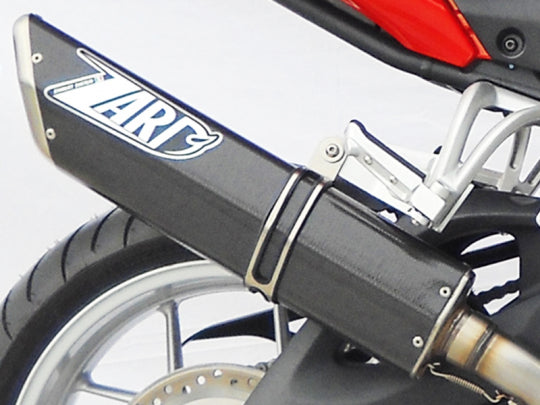 ZARD EXHAUST LOW MOUNTED SILENCER Triumph TIGER 1050 2006-2012 PENTA VERSION ZTPH039ABR