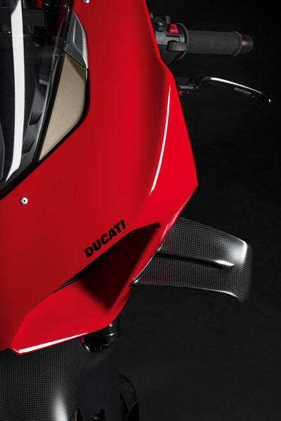 SCRAMBLER DUCATI PANIGALE V4 Pair of carbon wings