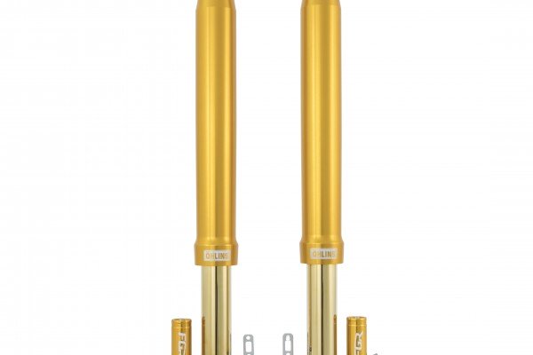 OHLINS FGR 300 SUPERBIKE SUPERSPORT FRONT FORKS SPRING PRESSURIZED FGR250 TTX