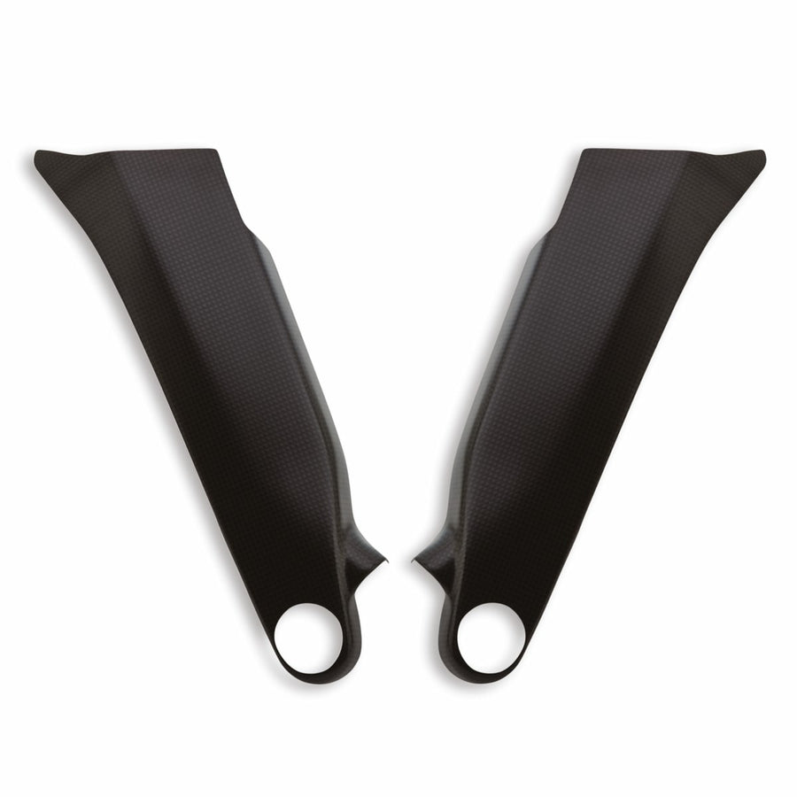 SCRAMBLER DUCATI PANIGALE V4 Carbon frame cover