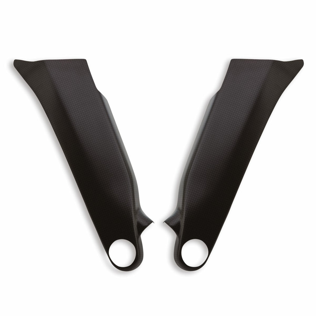 SCRAMBLER DUCATI PANIGALE V4 Carbon frame cover