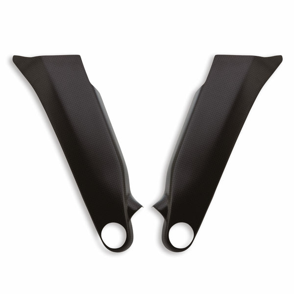 SCRAMBLER DUCATI PANIGALE V4 Carbon frame cover