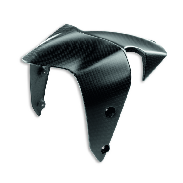 DUCATI PERFORMANCE MONSTER 1200 S Carbon front mudguard