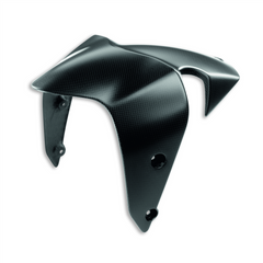 DUCATI PERFORMANCE MONSTER 1200 S Carbon front mudguard