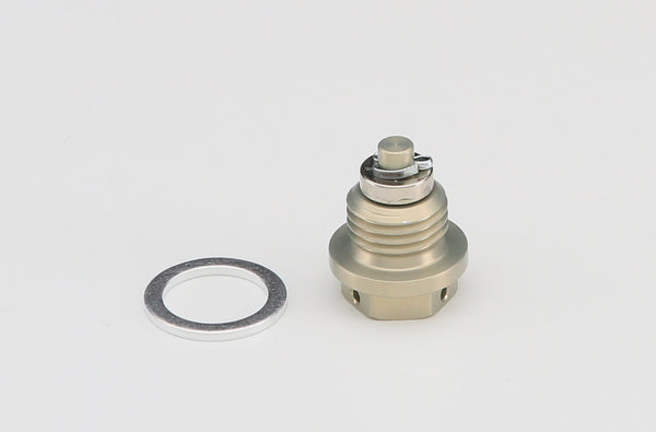 AELLA DUCATI SUPER BIKE 1199 Panigale Drain Bolt M14/P1.5 AE-52007