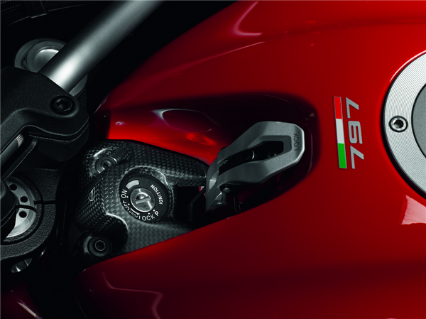 DUCATI PERFORMANCE MONSTER 1200 S Carbon ignition switch cover