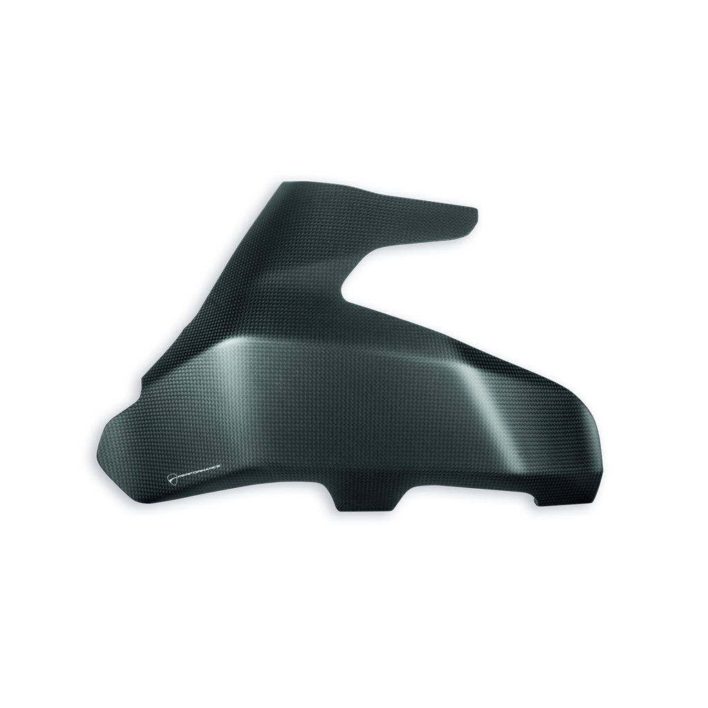 DUCATI PERFORMANCE MONSTER 1200 S Carbon swingarm guard