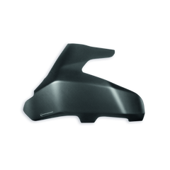 DUCATI PERFORMANCE MONSTER 1200 S Carbon swingarm guard