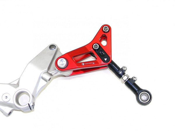 Ducibike ducati BSP01 - REAR LINK SUSPENSION PANIGALE