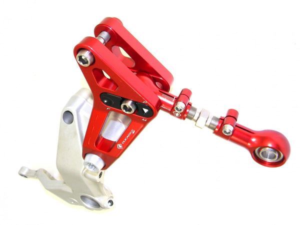 Ducibike ducati BSP01 - REAR LINK SUSPENSION PANIGALE