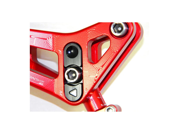 Ducibike ducati BSP01 - REAR LINK SUSPENSION PANIGALE