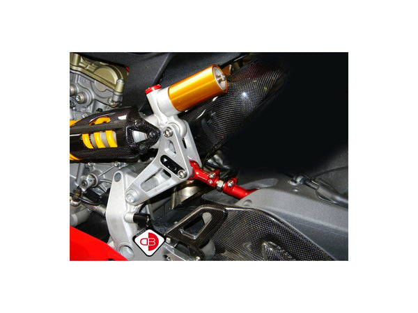 Ducibike ducati BSP01 - REAR LINK SUSPENSION PANIGALE