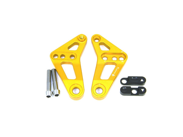 Ducibike ducati BSP01 - REAR LINK SUSPENSION PANIGALE
