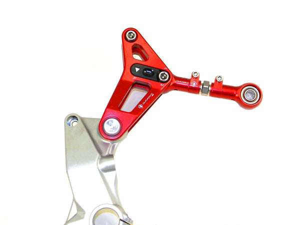 Ducibike ducati BSP01 - REAR LINK SUSPENSION PANIGALE