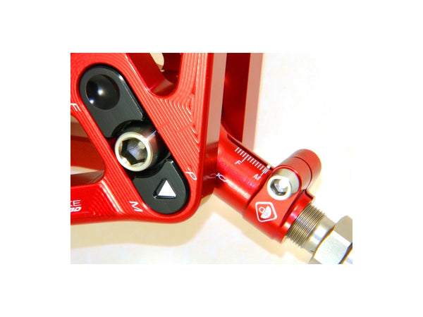 Ducibike ducati BSP01 - REAR LINK SUSPENSION PANIGALE