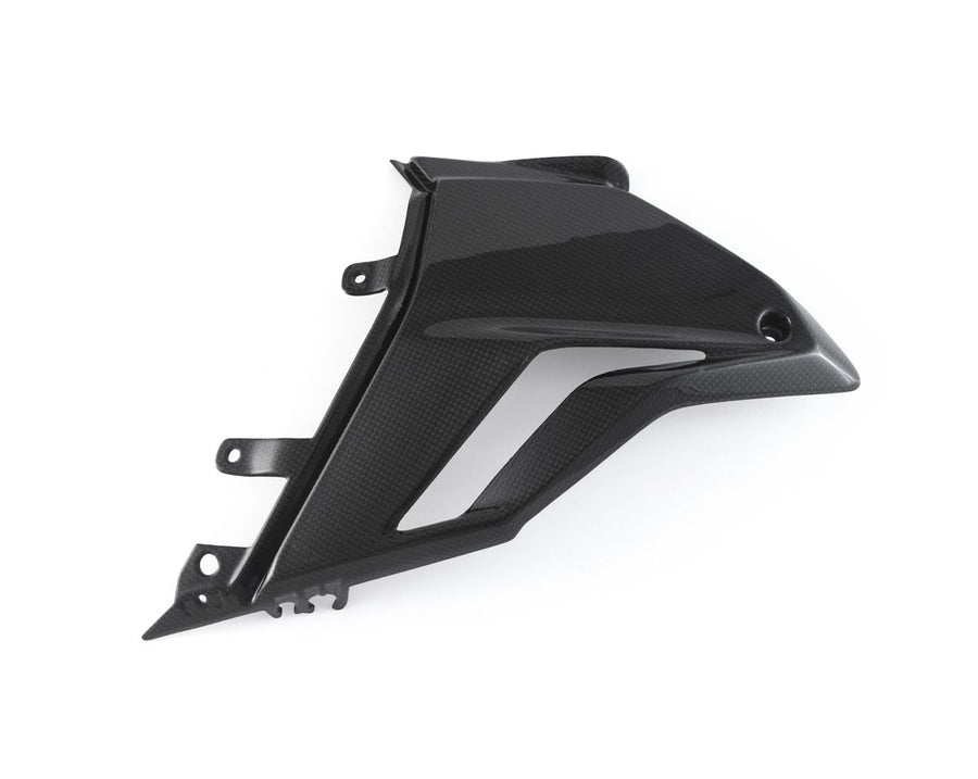 MOTO CORSE Fairing side panel - Lower left 102188307