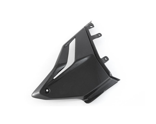 MOTO CORSE Fairing side panel - Lower left 102188307