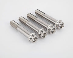 MOTO CORSE Front brake calipers titanium screws kit 102143022