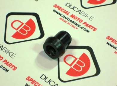 DUCABIKE | Pivot Bearing Pressure Plate