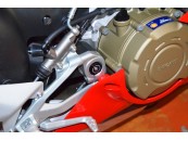 DUCABIKE PANIGALE V4 TTF06 - KIT CENTRAL FRAME CAPS