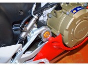 DUCABIKE PANIGALE V4 TTF06 - KIT CENTRAL FRAME CAPS
